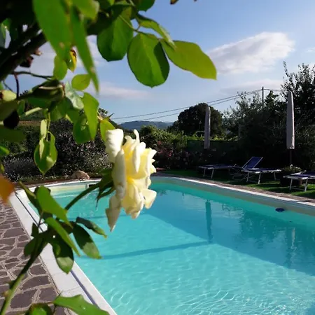 Apartment Corte Soave Montecchia di Crosara